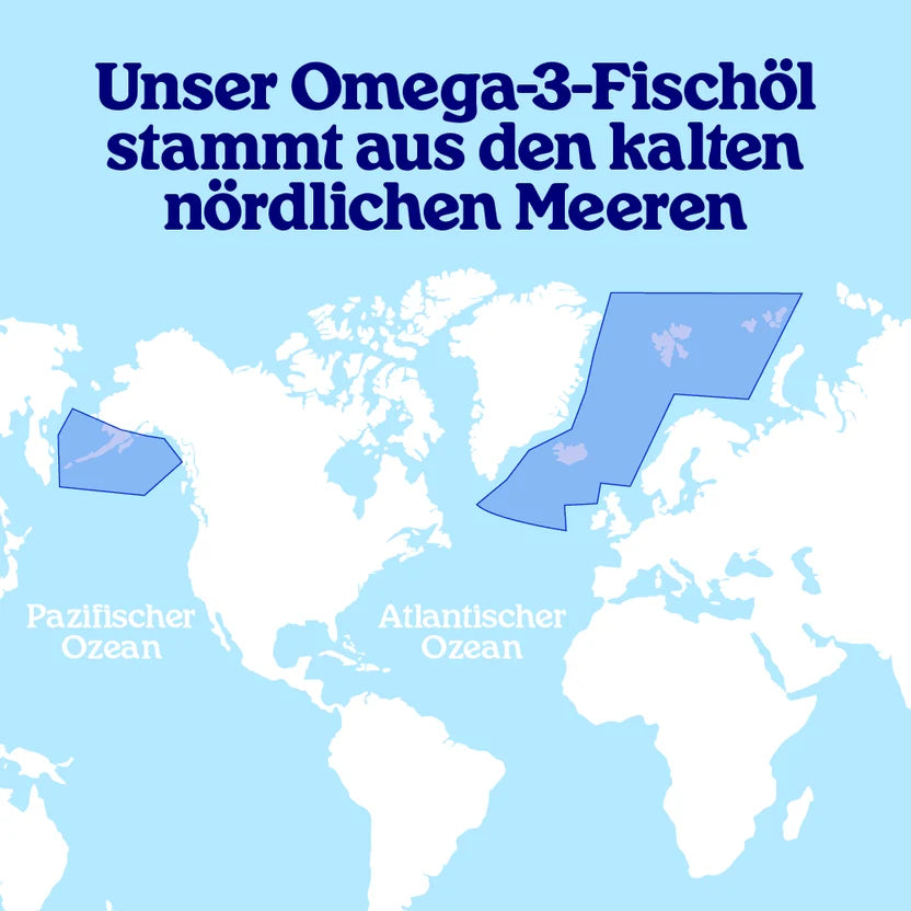 Omega 3 Fischölkapseln (klein) von Artic Blue